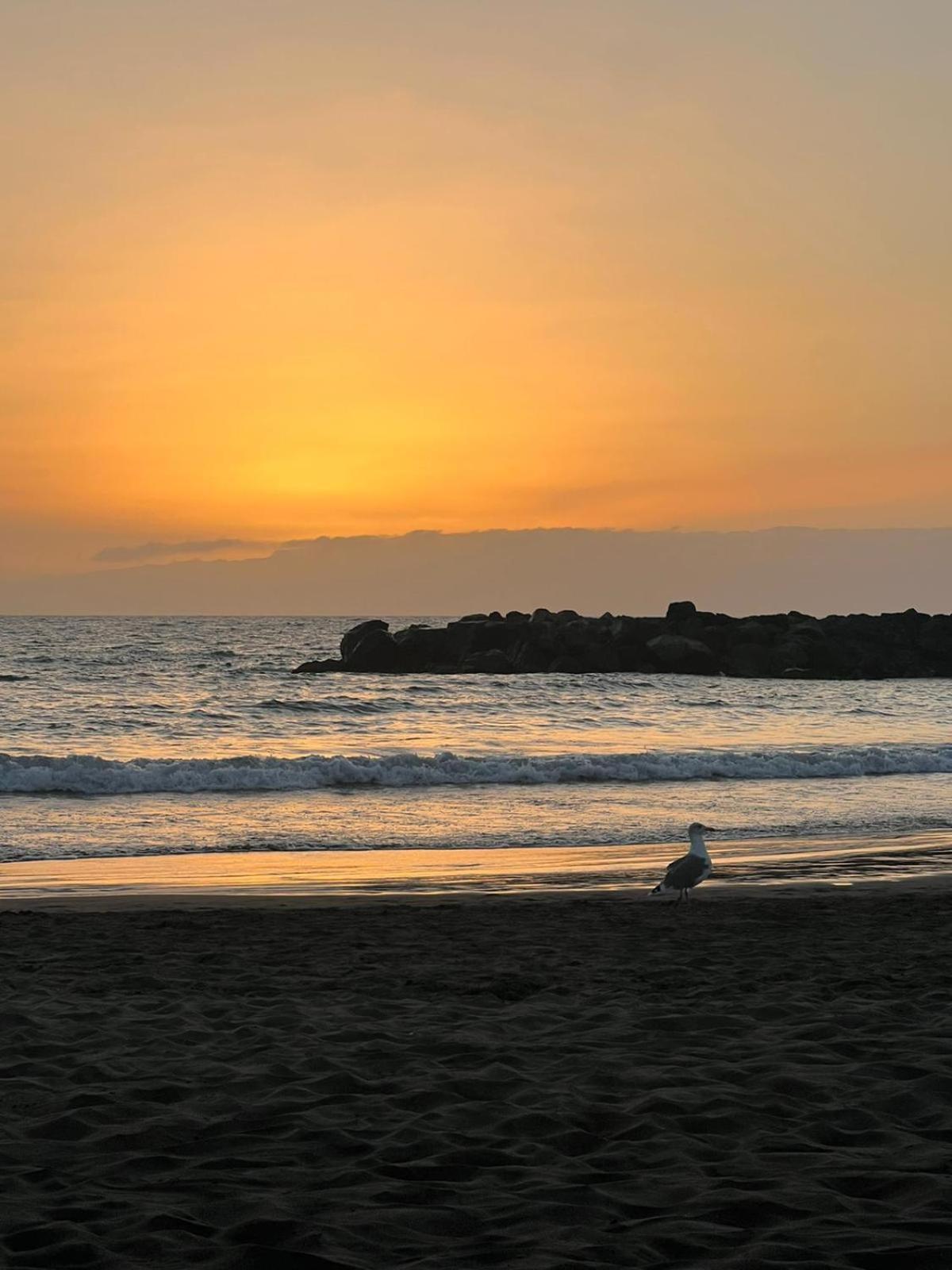 Apartamento En Primera Linea De Playa, Centrico, Tranquilo Playa de las Americas  Exteriör bild